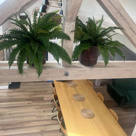 Attic Appart Stary Toruń エクステリア 写真