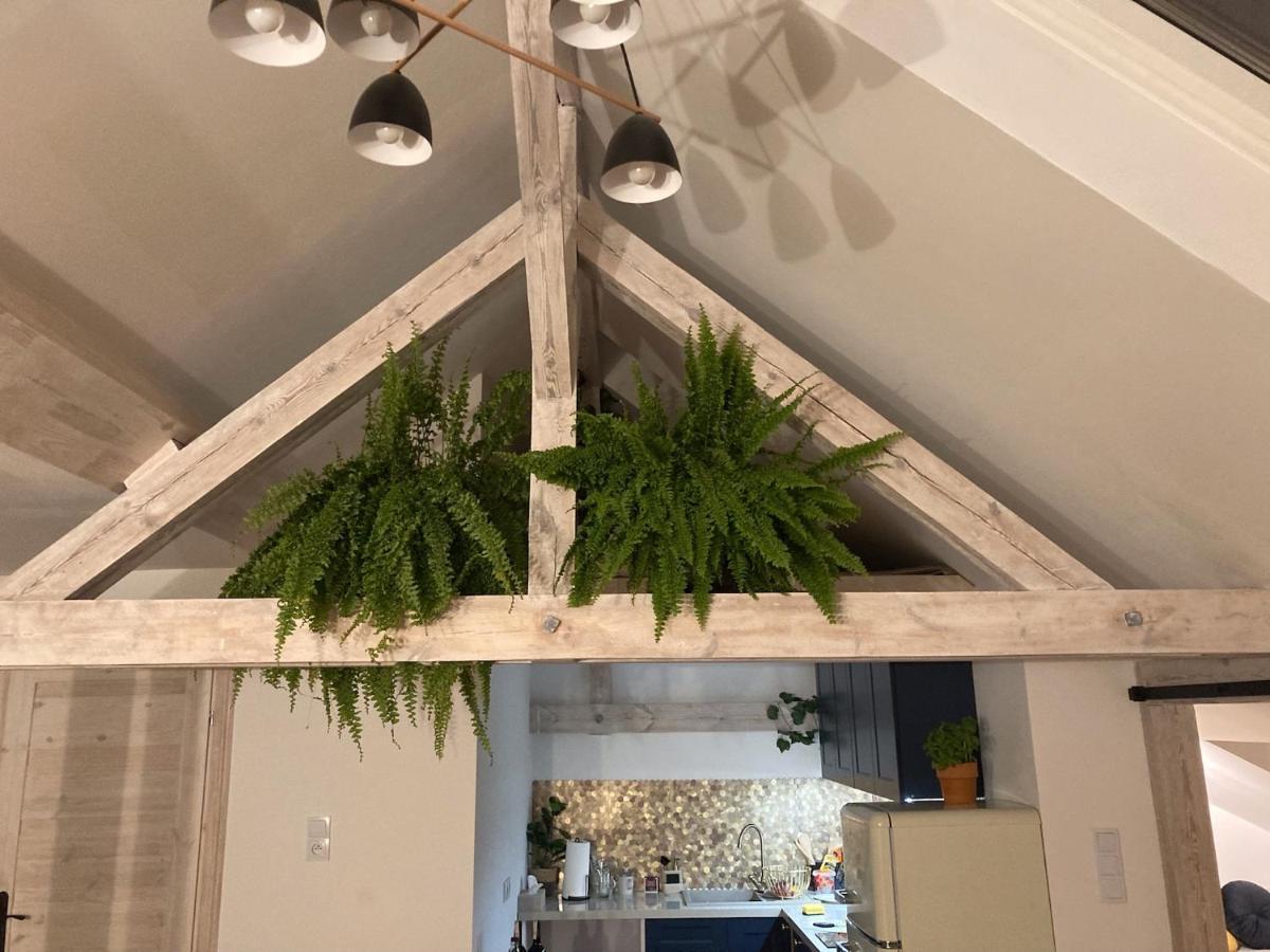 Attic Appart Stary Toruń エクステリア 写真