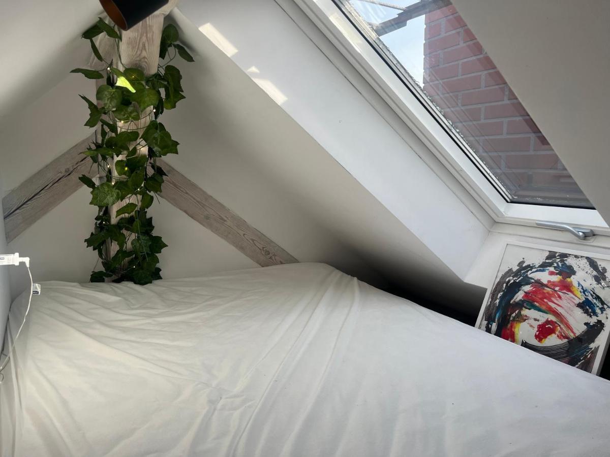 Attic Appart Stary Toruń エクステリア 写真
