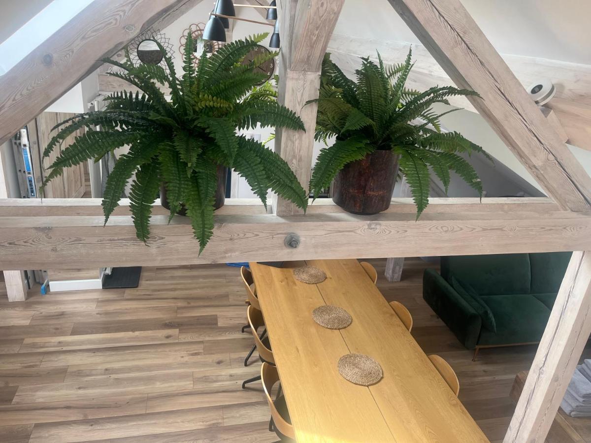 Attic Appart Stary Toruń エクステリア 写真