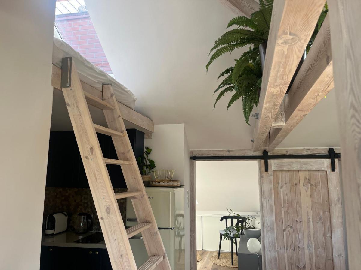Attic Appart Stary Toruń エクステリア 写真